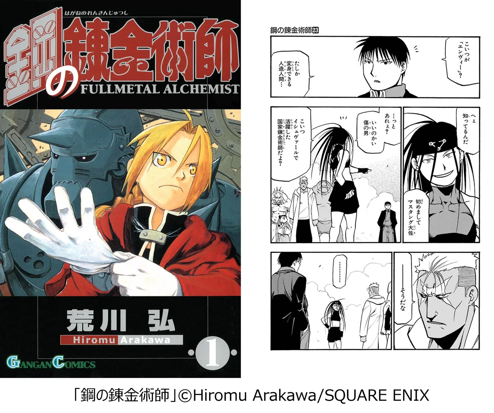 鋼の錬金術師 エンヴィー